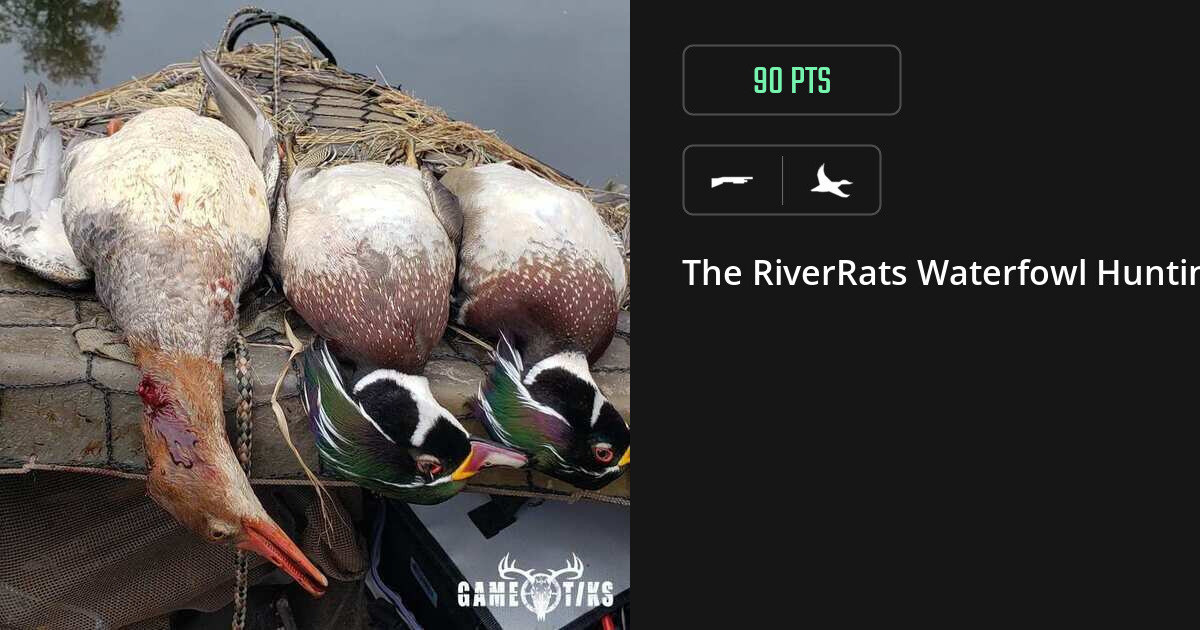 waterfowl harvest by The RiverRats Waterfowl Hunting