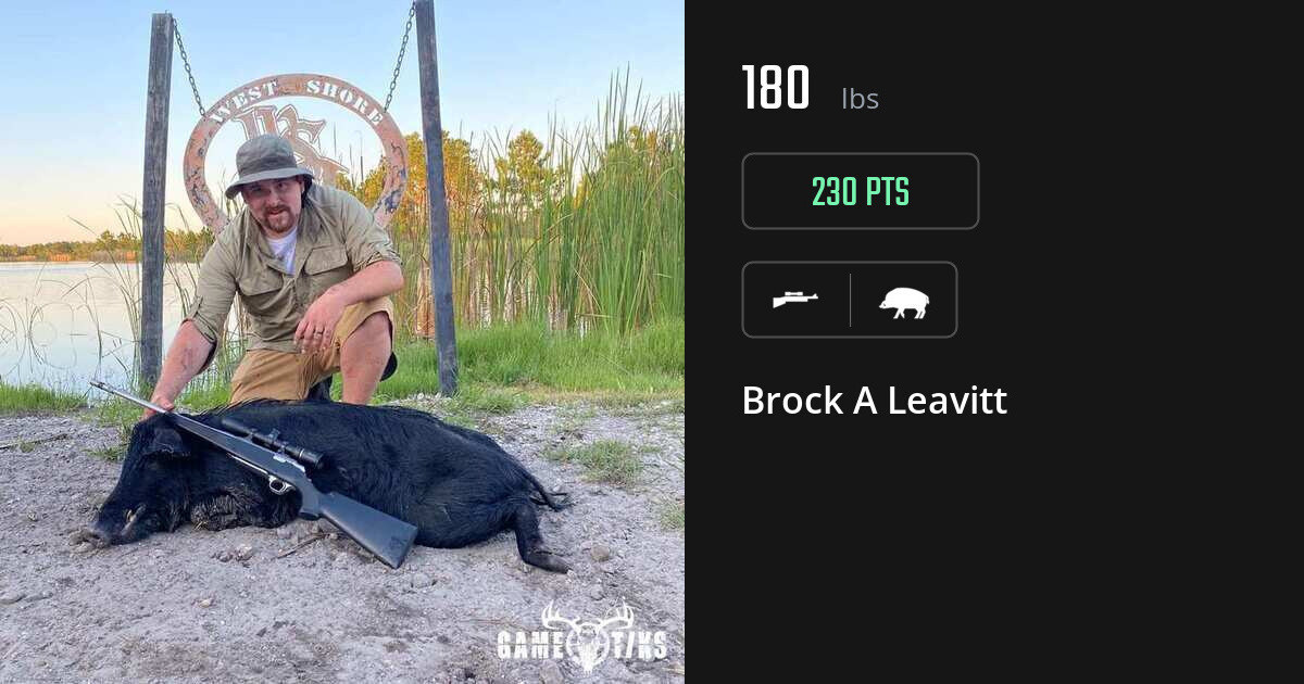 Boar harvest on Gametiks