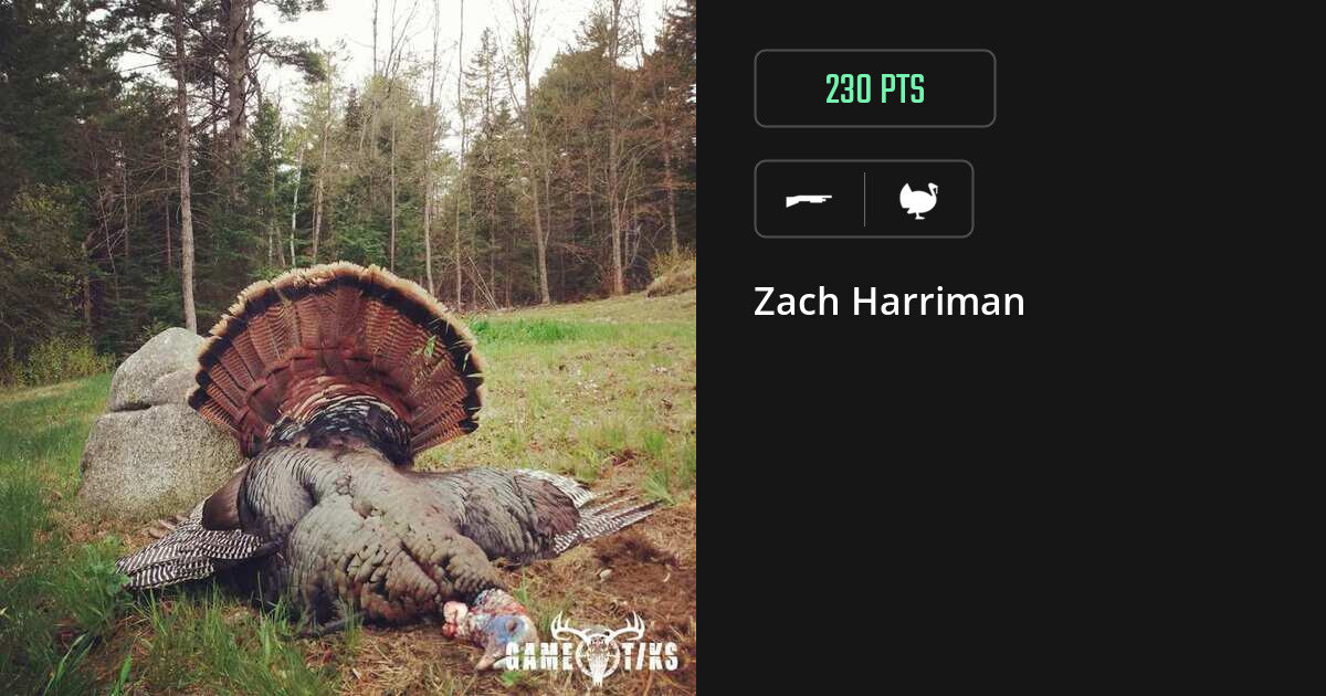 Turkey harvest on Gametiks