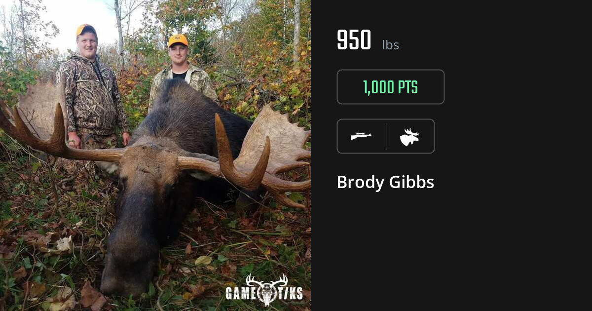 Moose harvest on Gametiks