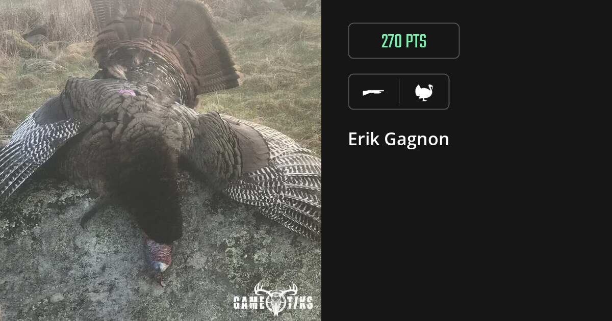 Turkey harvest on Gametiks