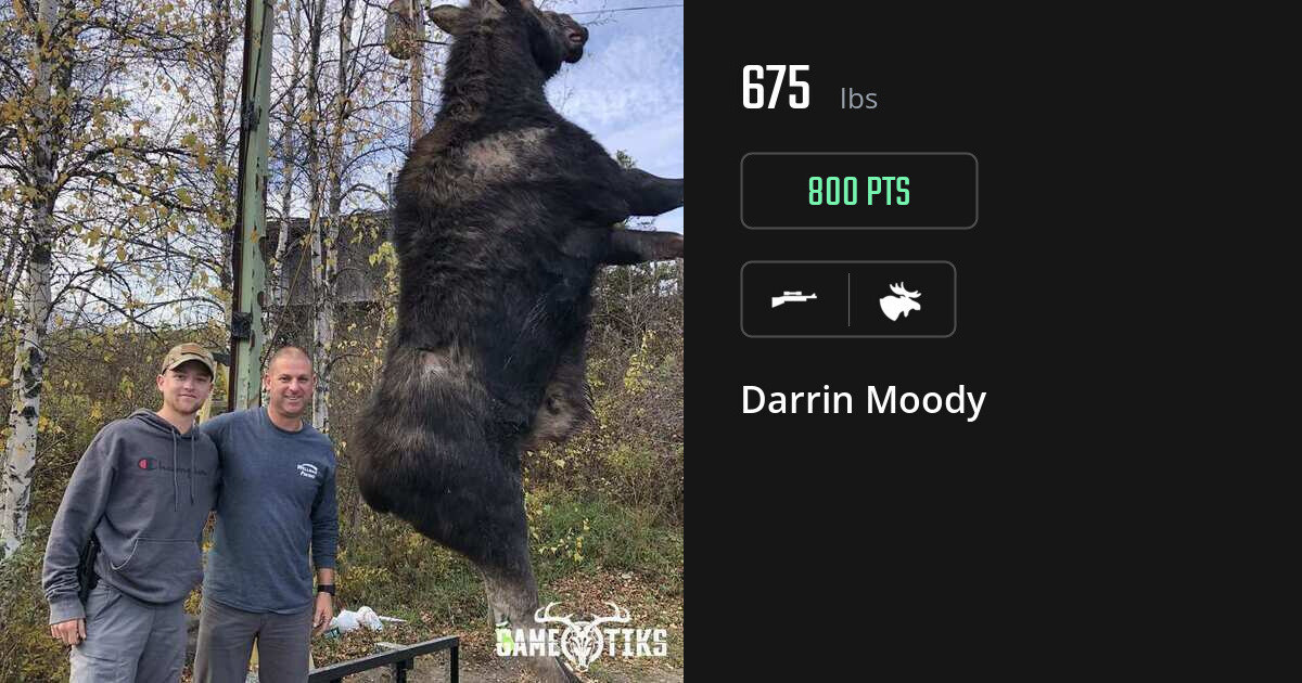 moose harvest by Darrin Moody