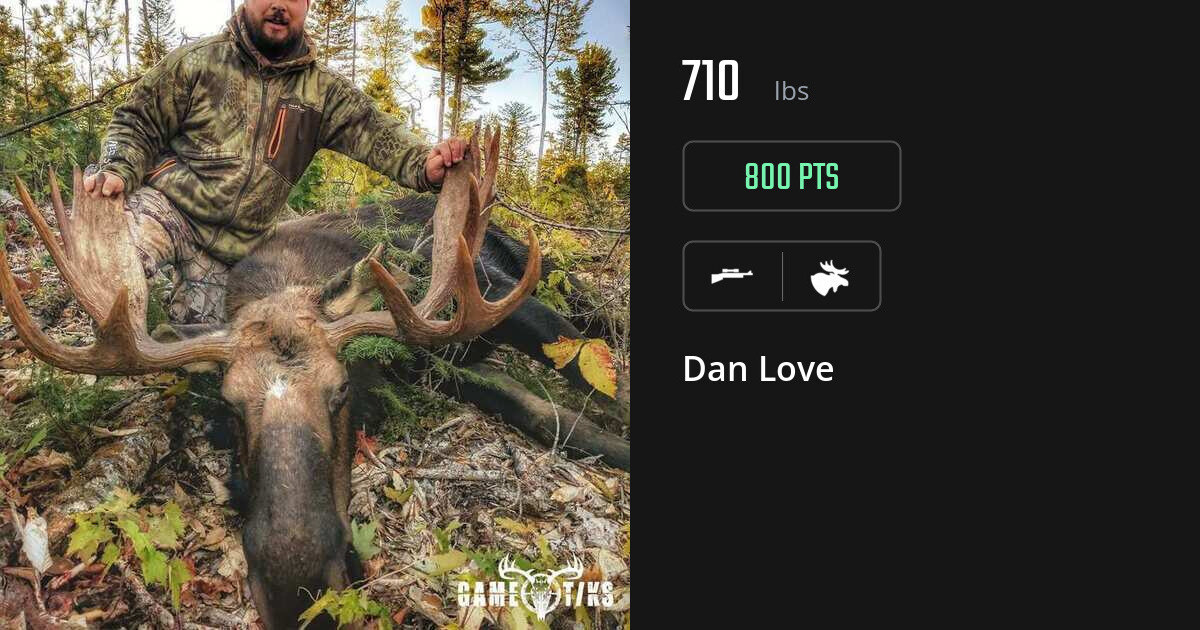 Moose harvest on Gametiks