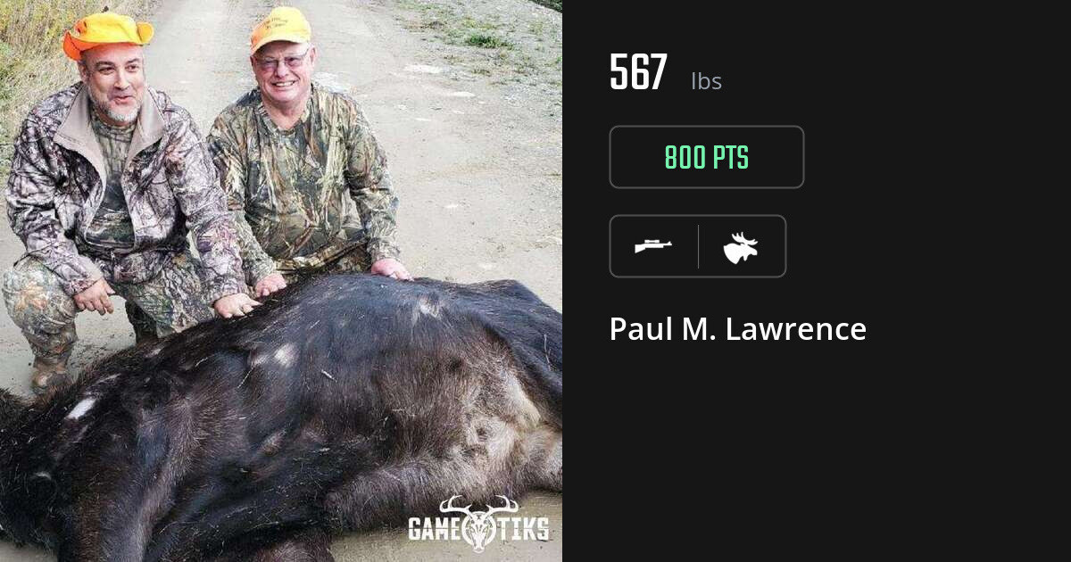 Moose harvest on Gametiks