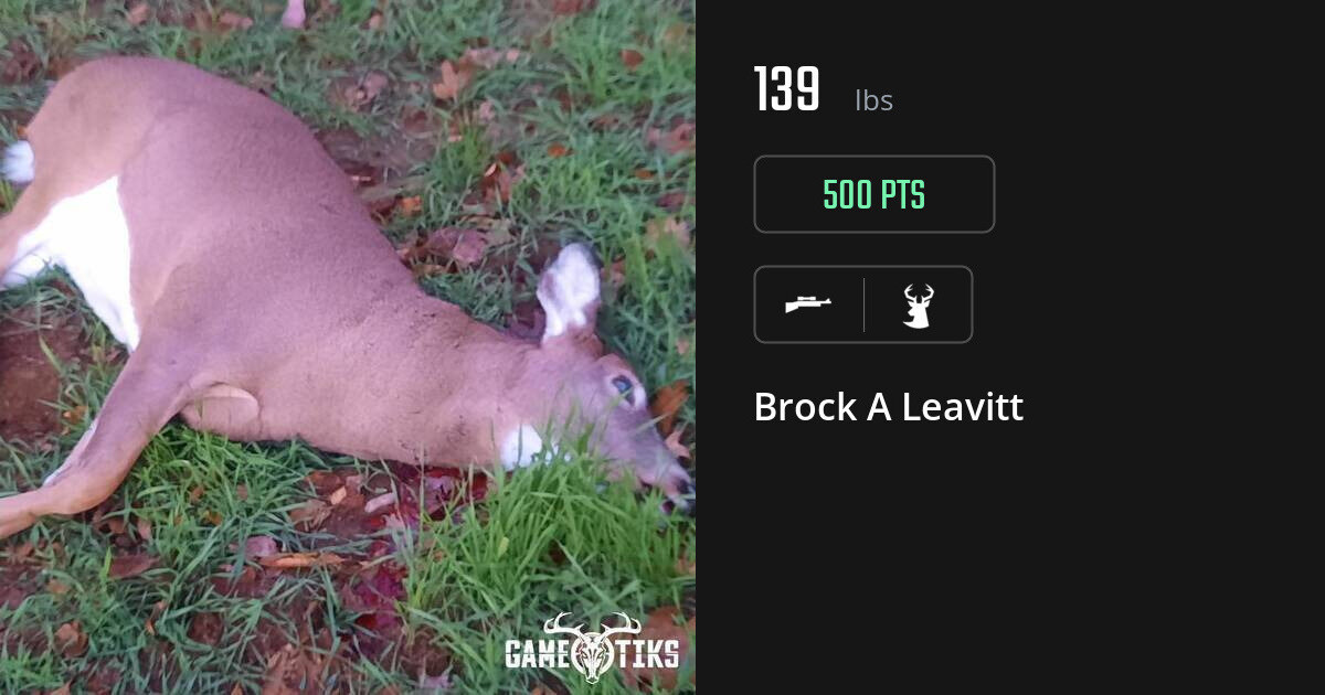 deer harvest by Brock A Leavitt