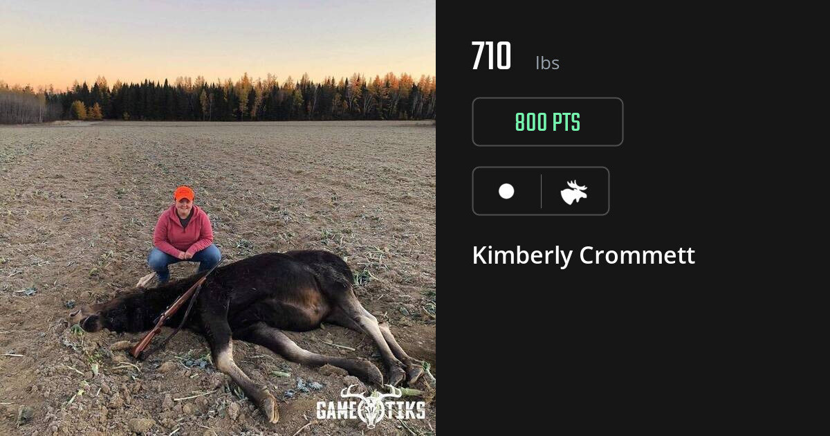 Moose harvest on Gametiks
