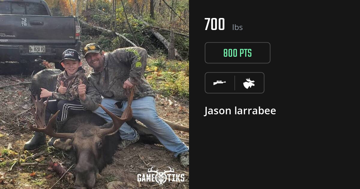Moose harvest on Gametiks
