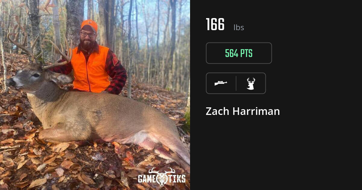 Deer harvest on Gametiks