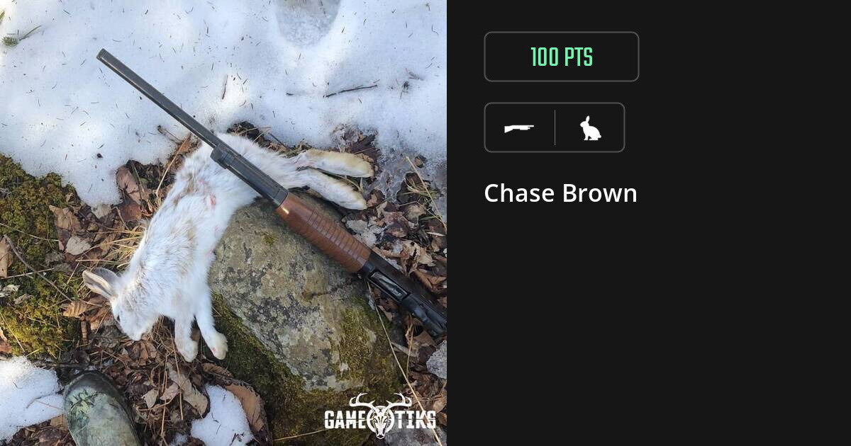 rabbit harvest by Chase Brown