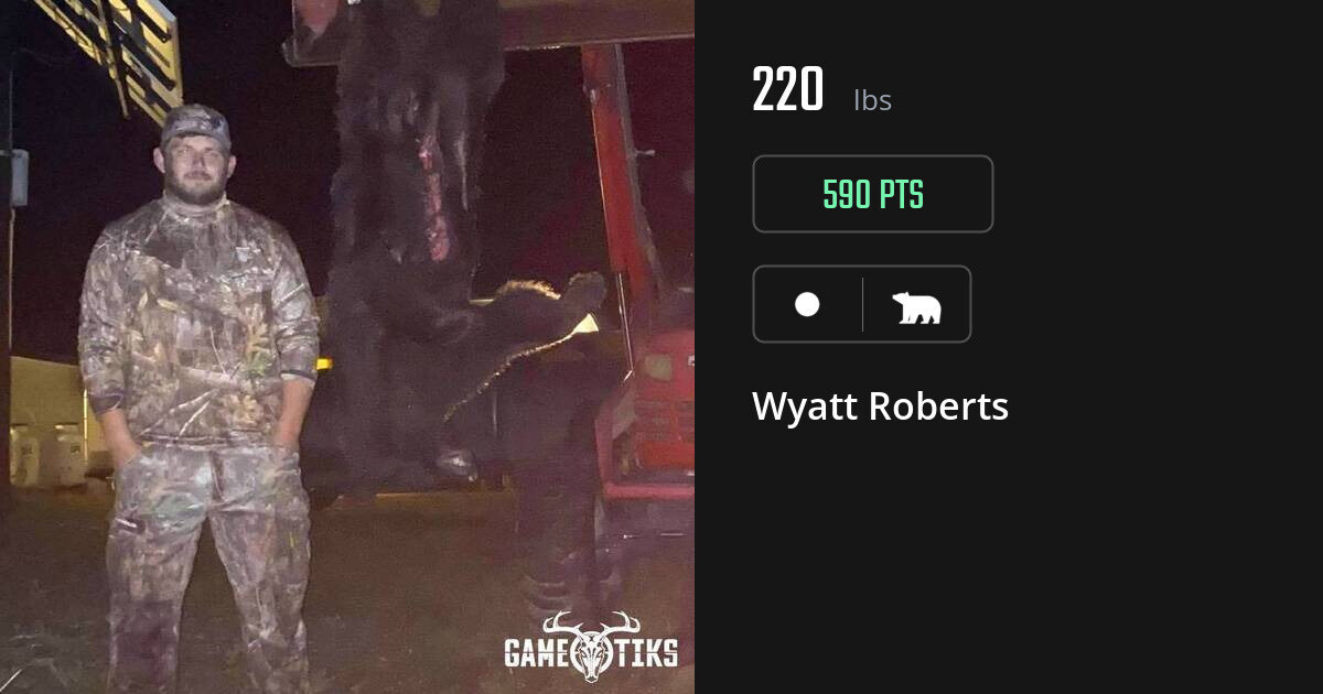 Bear harvest on Gametiks
