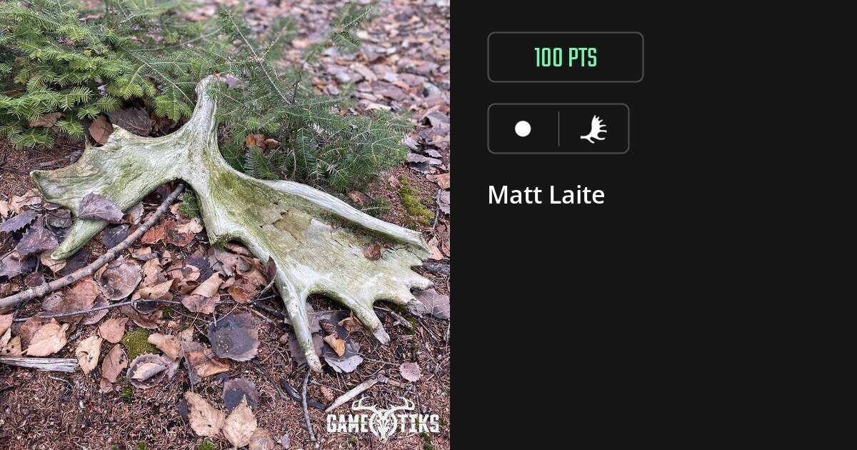 Shed antler harvest on Gametiks