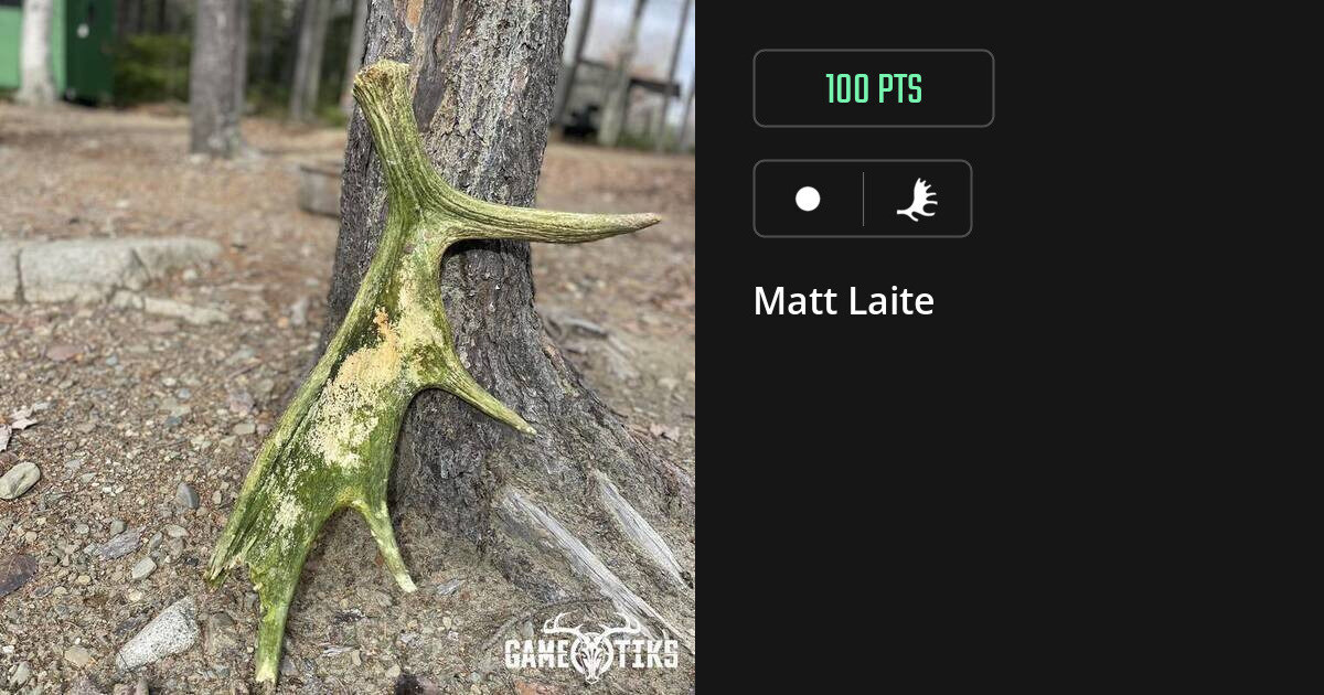 Shed antler harvest on Gametiks