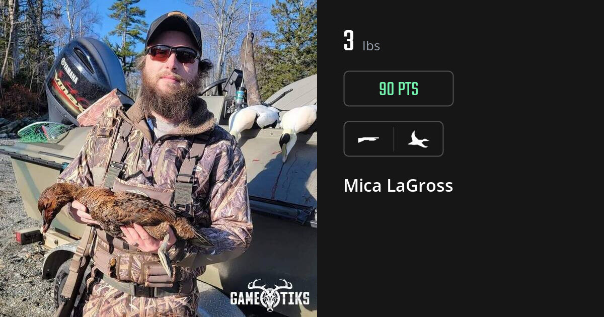 Waterfowl harvest on Gametiks