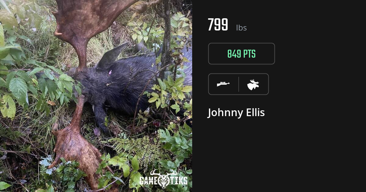 moose harvest by Johnny Ellis