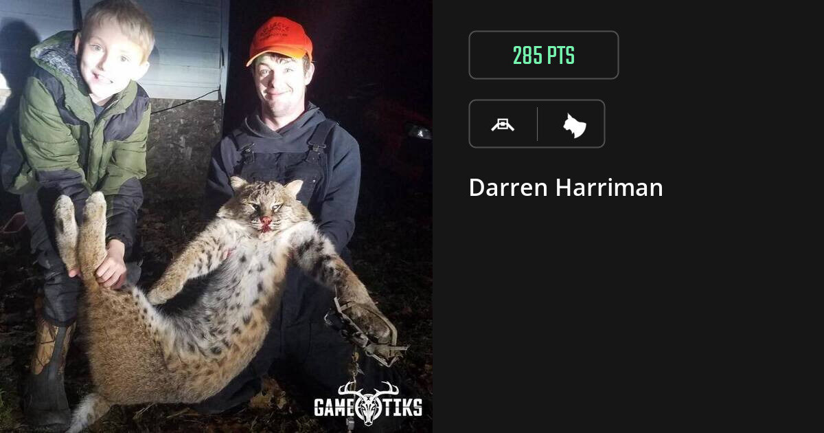 Feline harvest on Gametiks