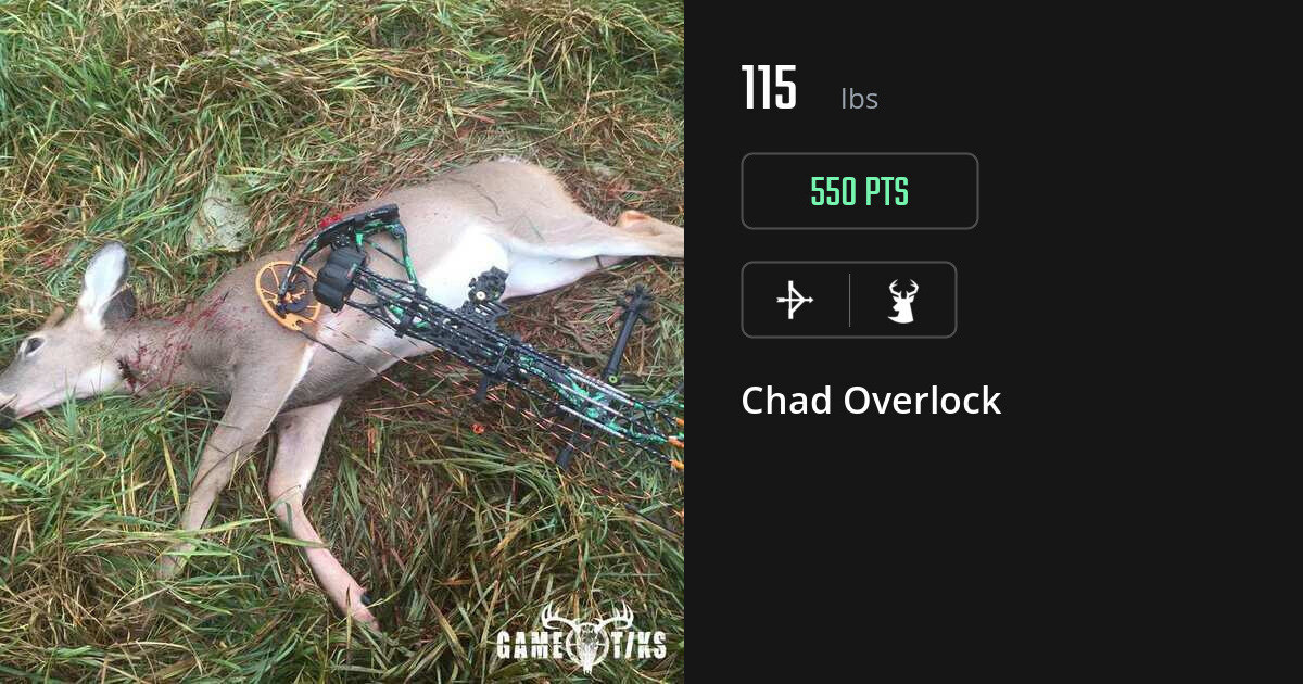 deer harvest by Chad Overlock