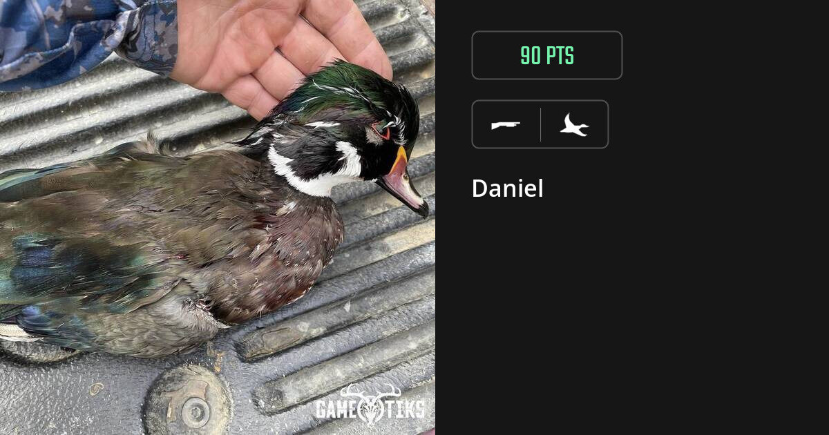 Waterfowl harvest on Gametiks