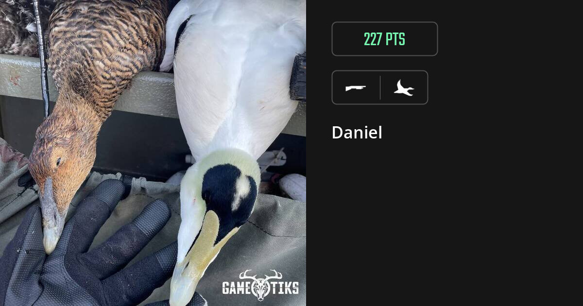waterfowl harvest by Daniel