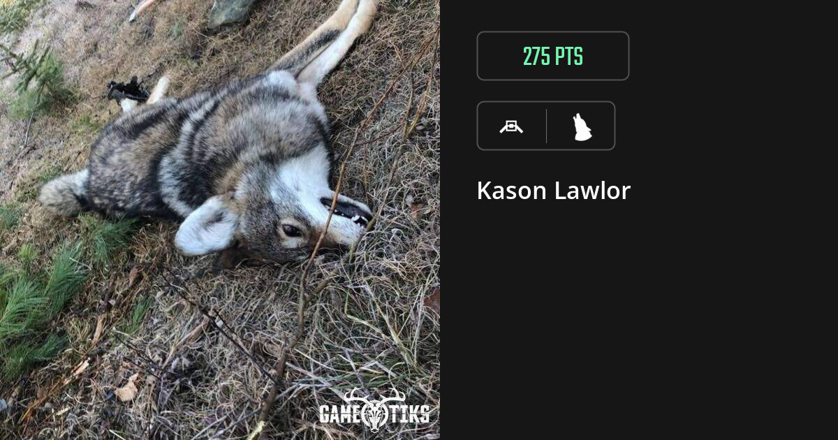 Canine harvest on Gametiks