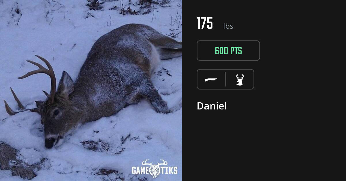 deer harvest by Daniel