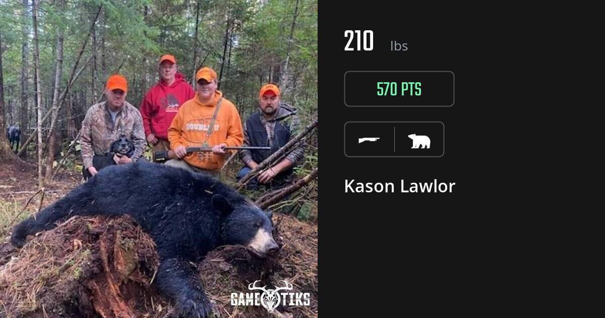 Bear harvest on Gametiks