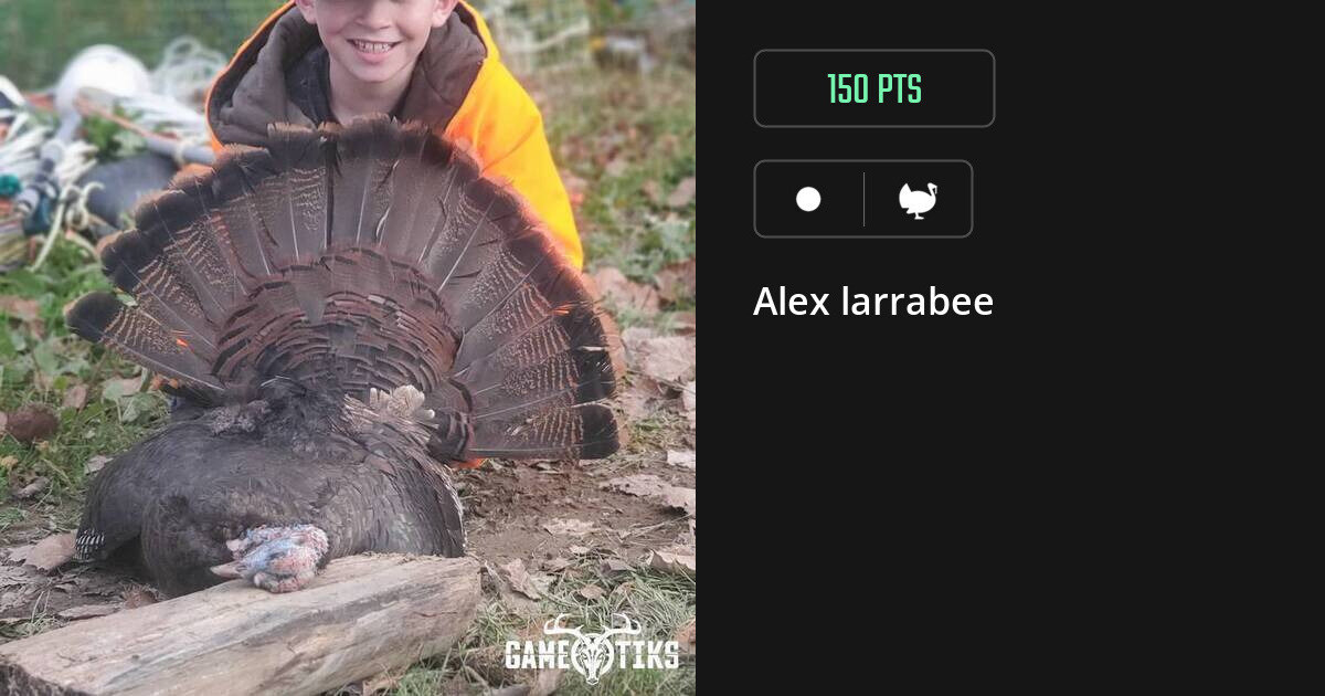 Turkey harvest on Gametiks