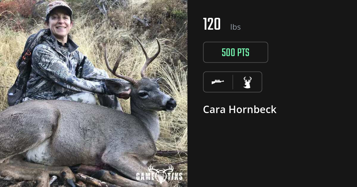 deer harvest by Cara Hornbeck