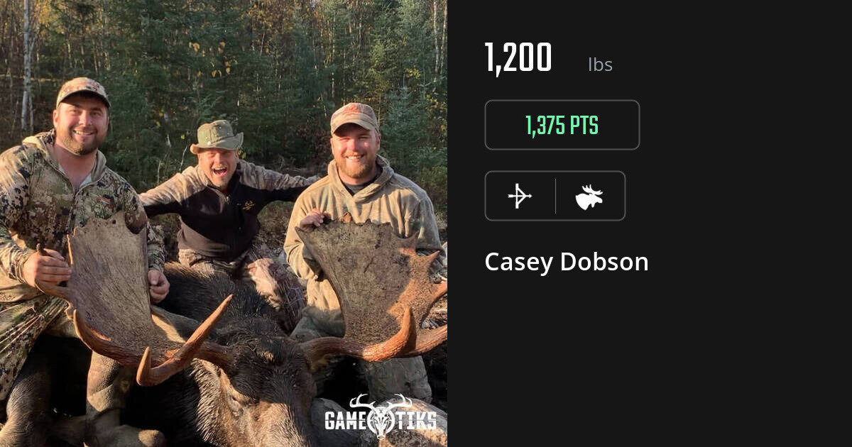 Moose harvest on Gametiks