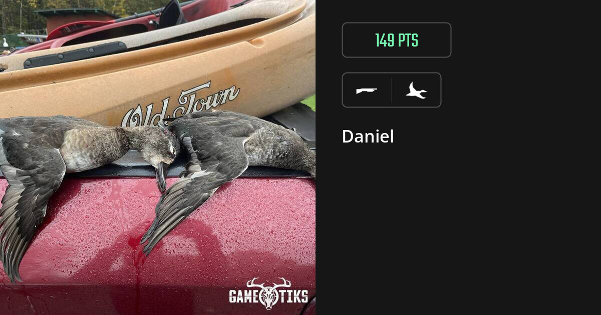 waterfowl harvest by Daniel