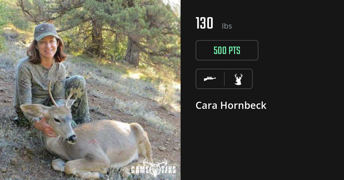 Deer harvest on Gametiks