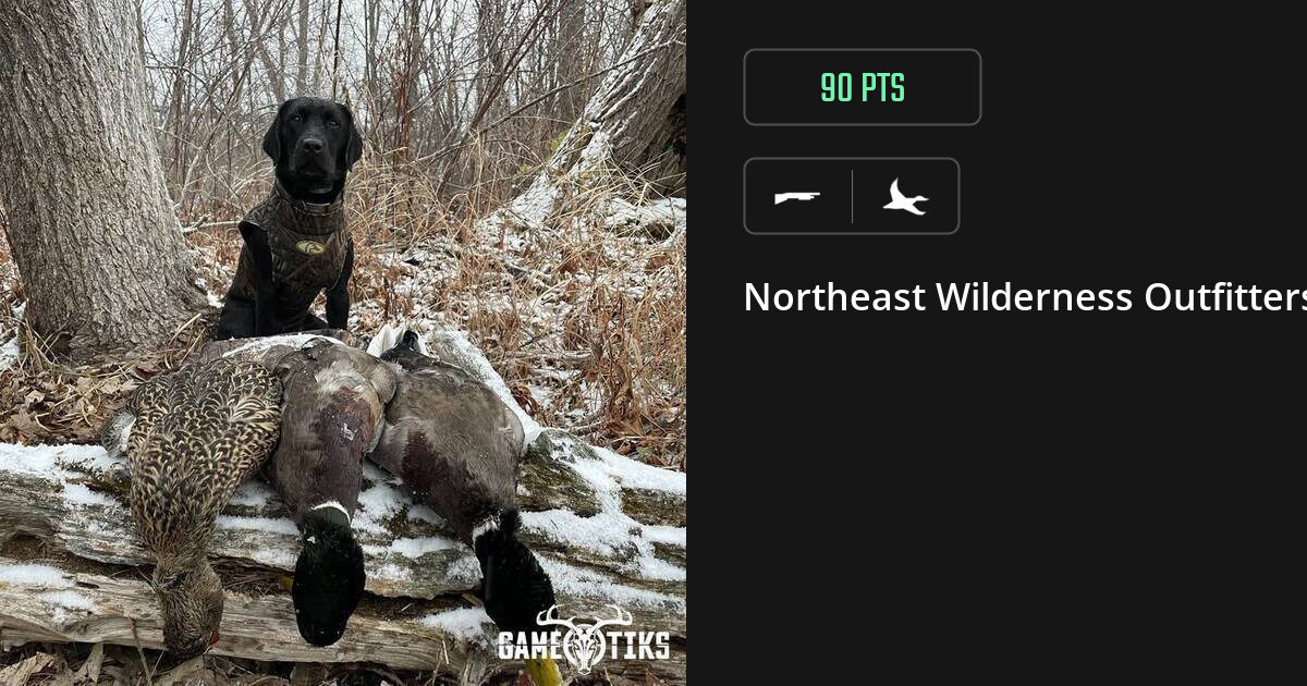 waterfowl harvest by Northeast Wilderness Outfitters