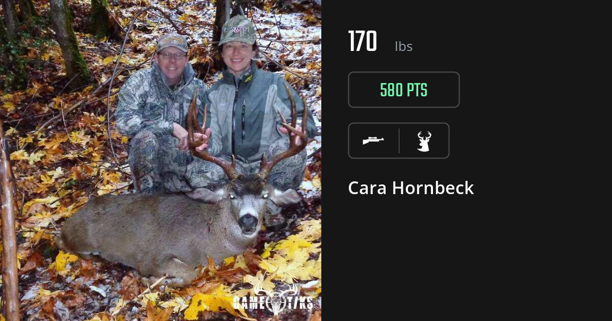 deer harvest by Cara Hornbeck
