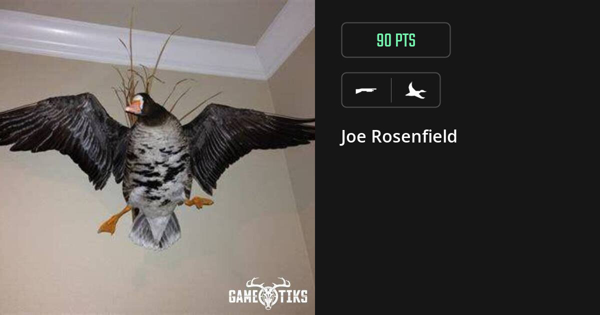 waterfowl harvest by Joe Rosenfield