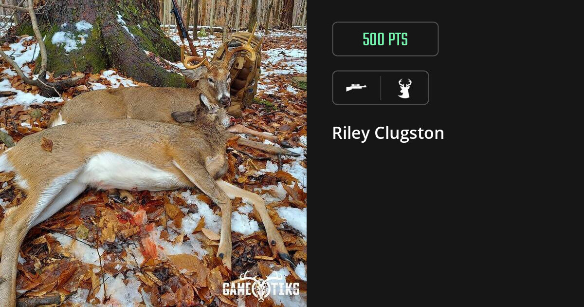 Deer harvest on Gametiks