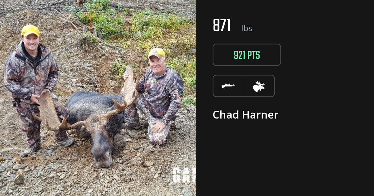 Moose harvest on Gametiks