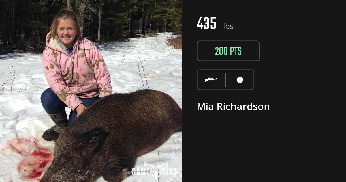miscellaneous harvest by Mia Richardson