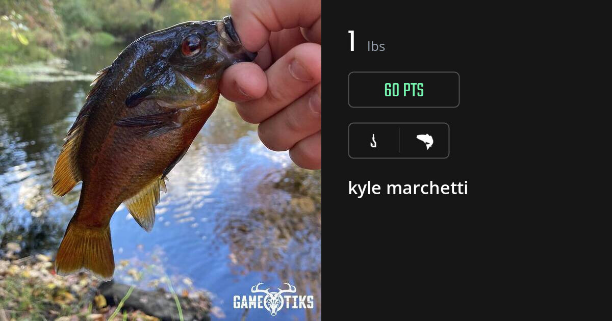 Saltwater fish harvest on Gametiks