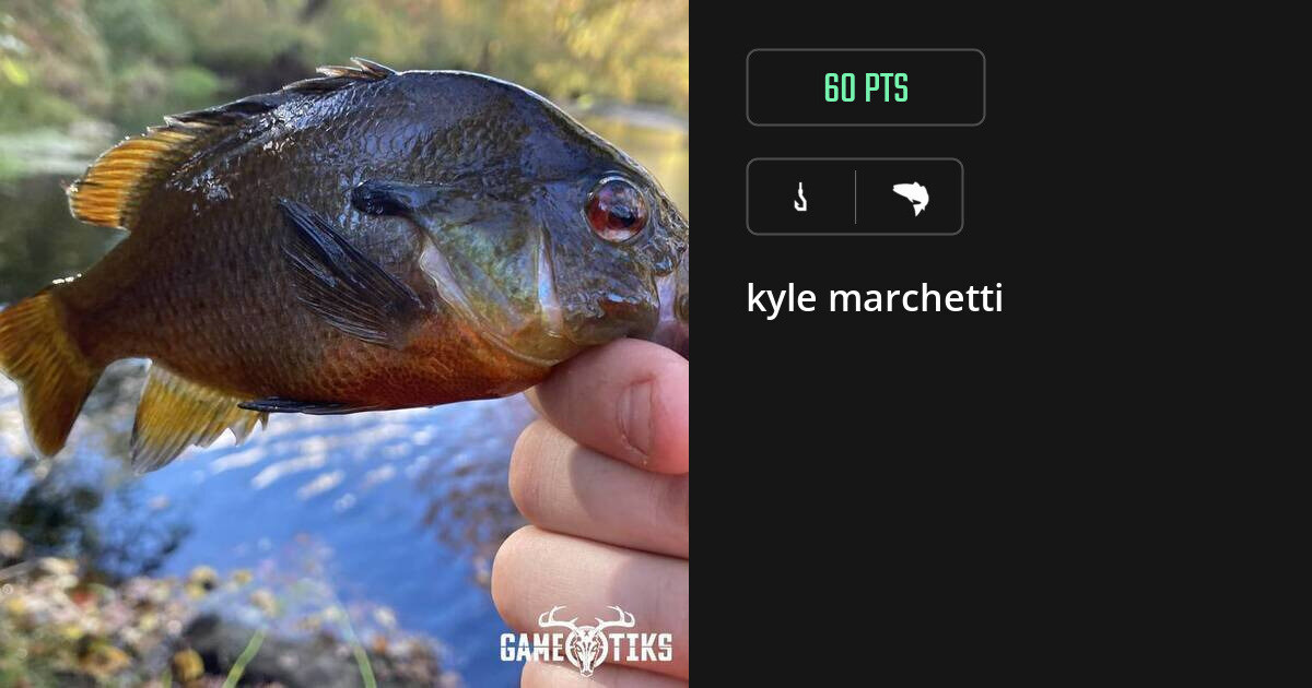 saltwater_fish harvest by kyle marchetti