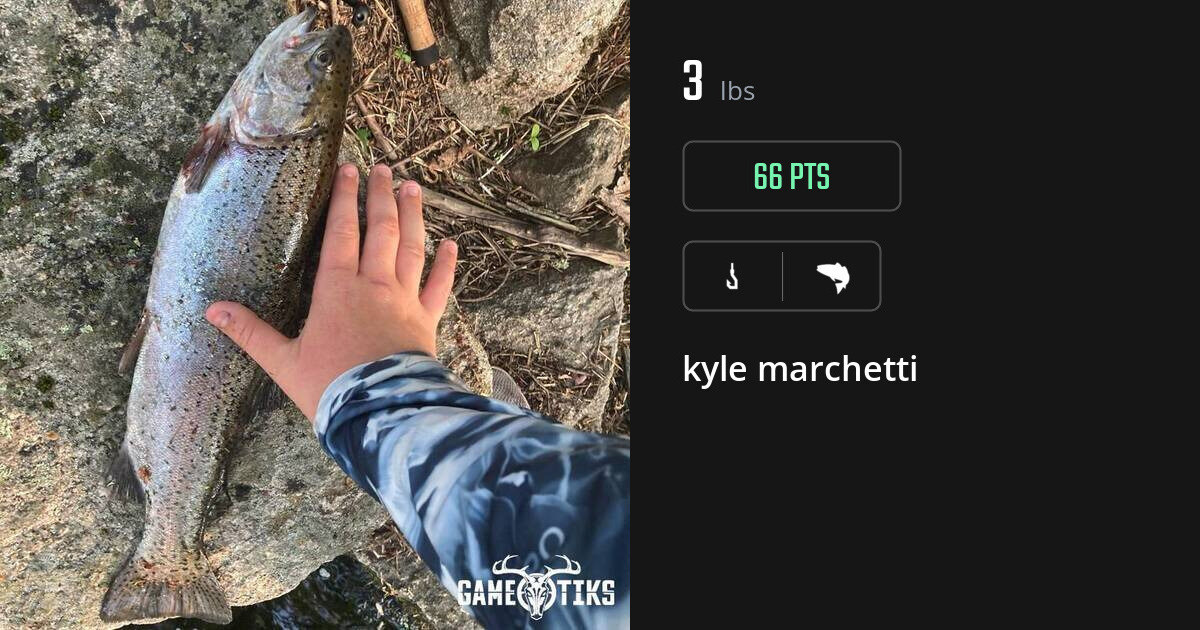 saltwater_fish harvest by kyle marchetti