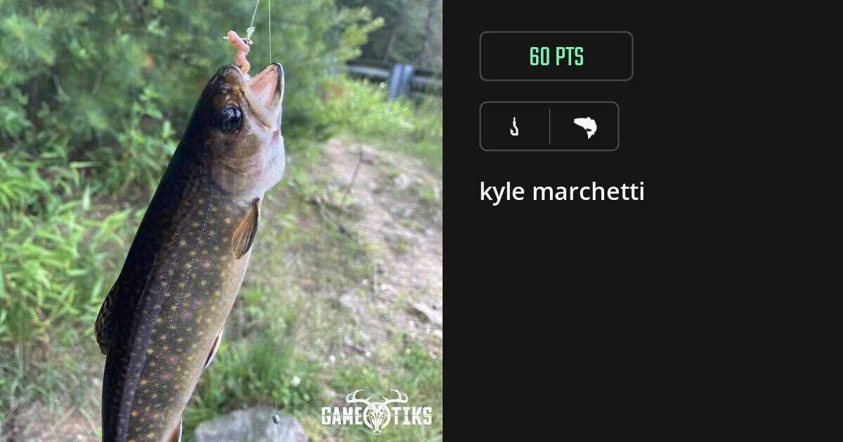 saltwater_fish harvest by kyle marchetti