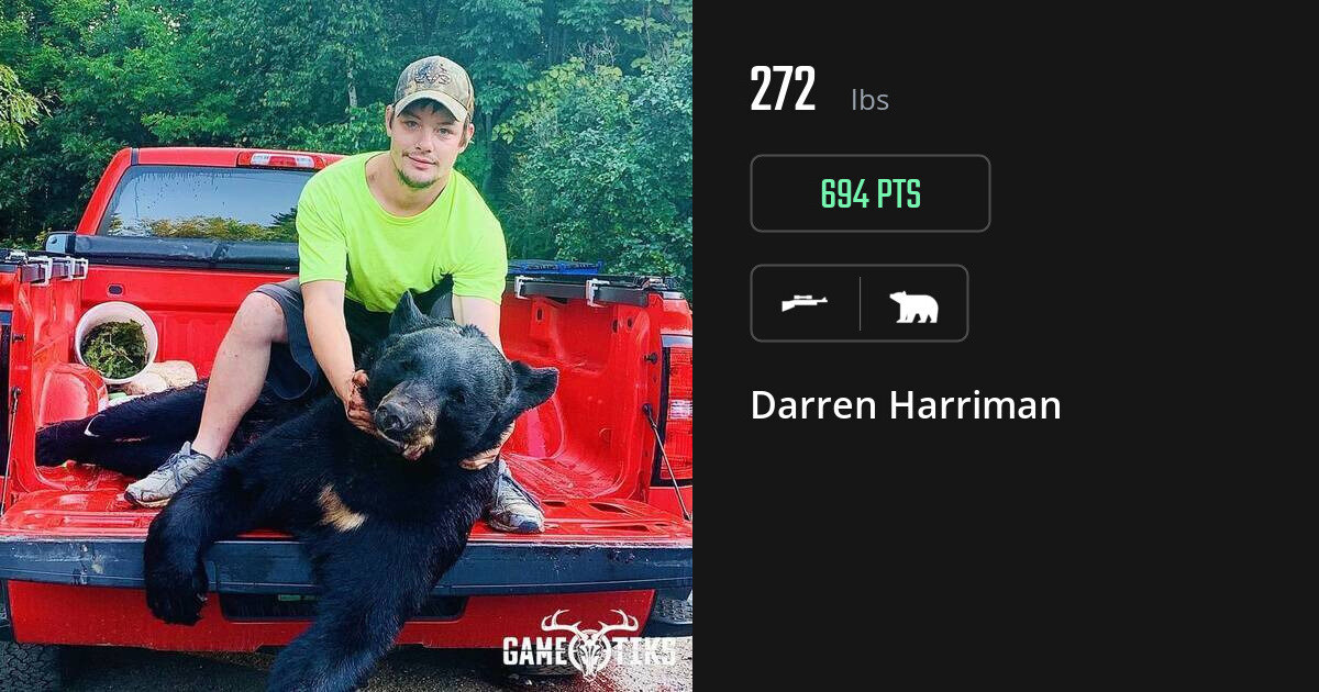 Bear harvest on Gametiks