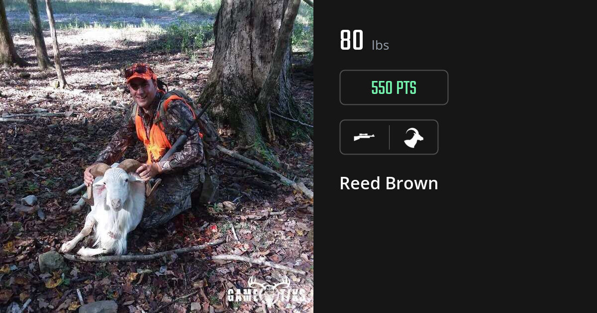 Bovid harvest on Gametiks