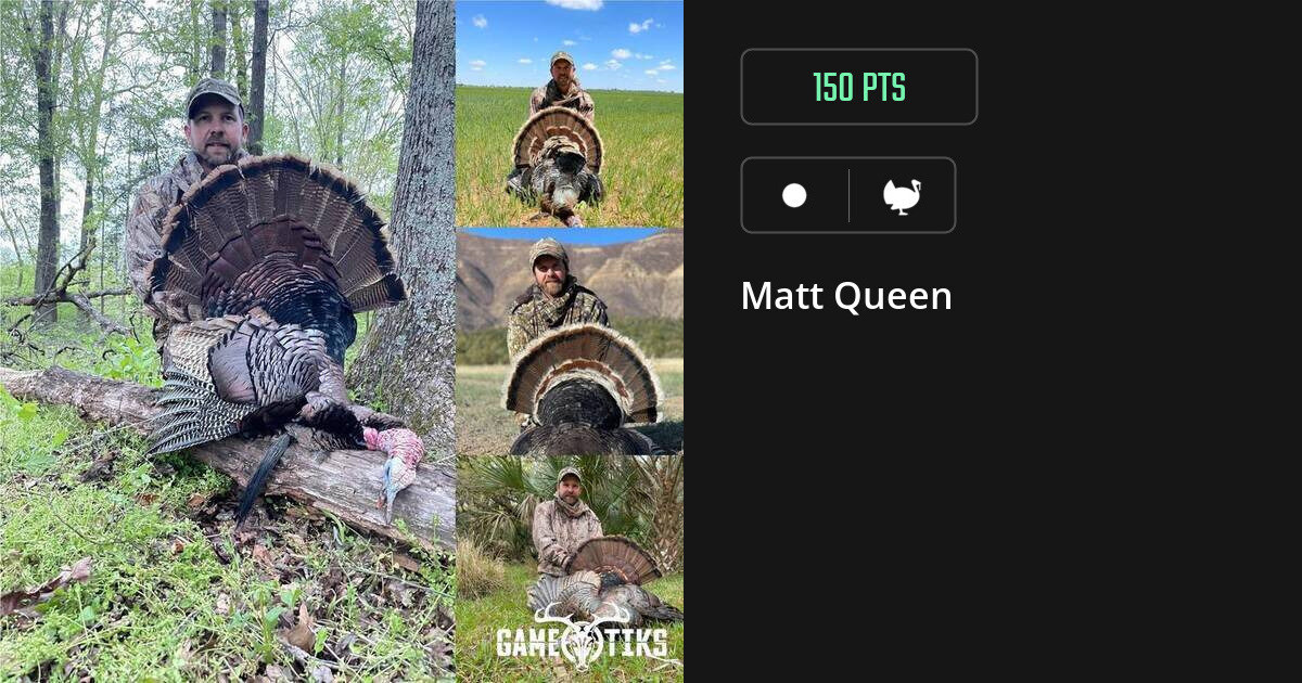 Turkey harvest on Gametiks