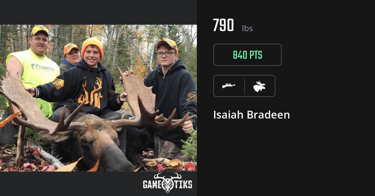 moose harvest by Isaiah Bradeen