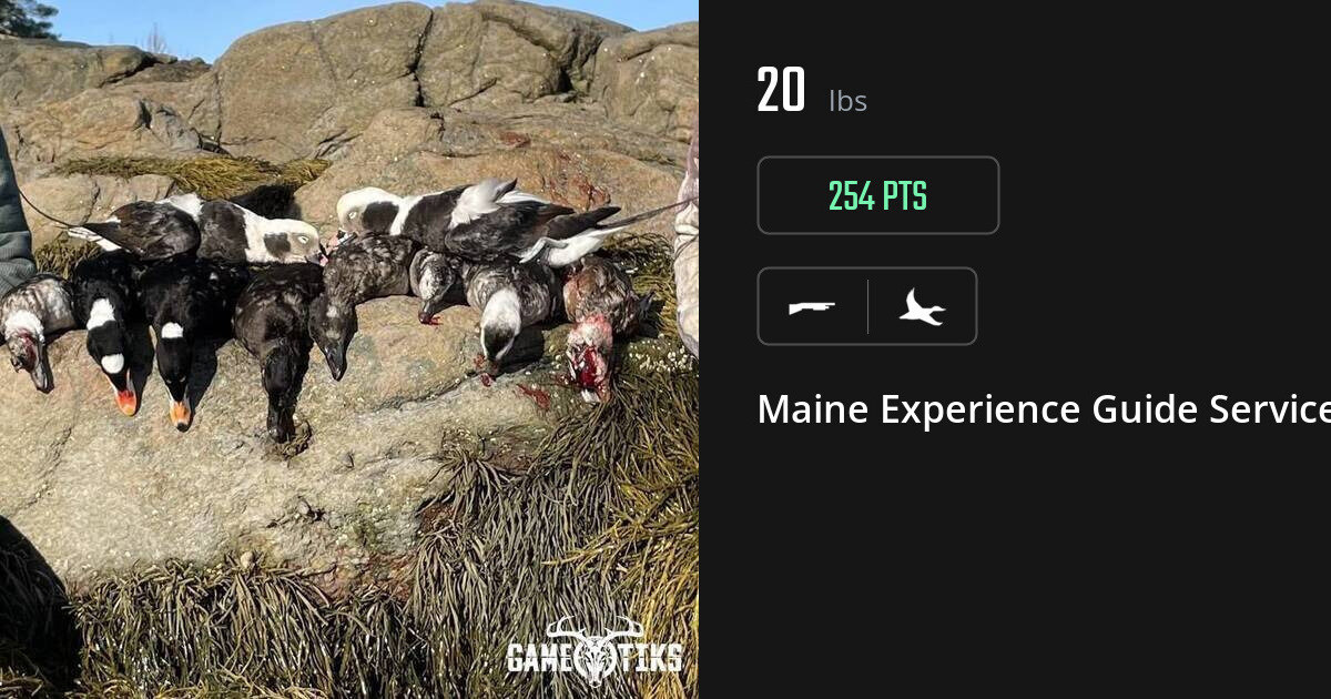Waterfowl harvest on Gametiks