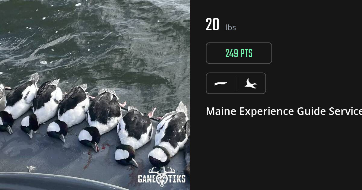 Waterfowl harvest on Gametiks