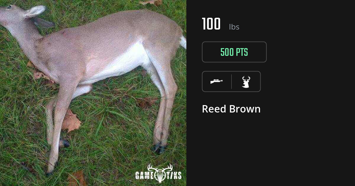deer harvest by Reed Brown