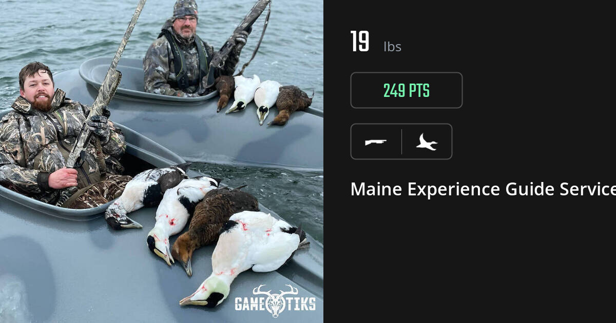 Waterfowl harvest on Gametiks