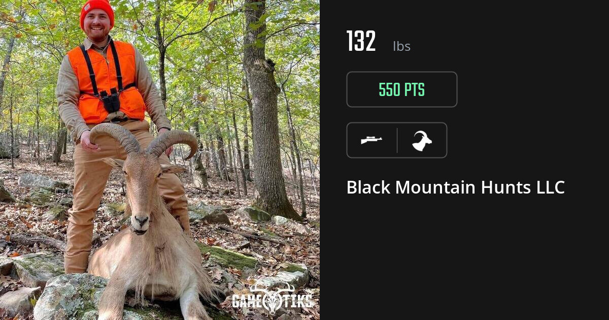 Bovid harvest on Gametiks