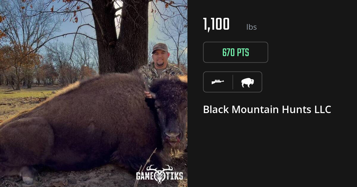 Buffalo harvest on Gametiks